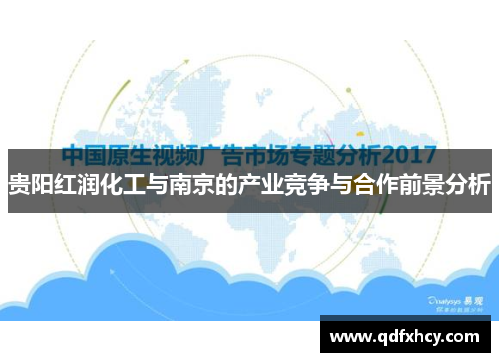 贵阳红润化工与南京的产业竞争与合作前景分析